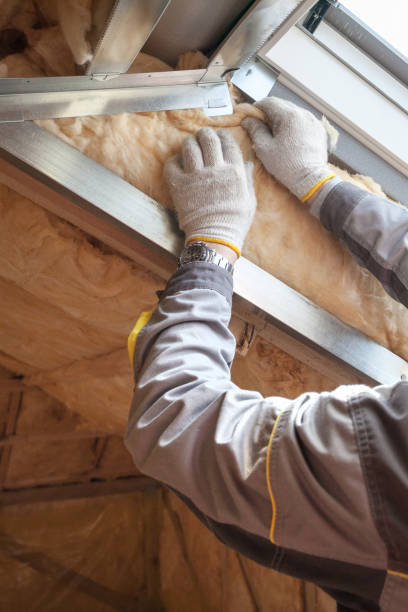 Best Insulation for New Construction  in Socorro, NM